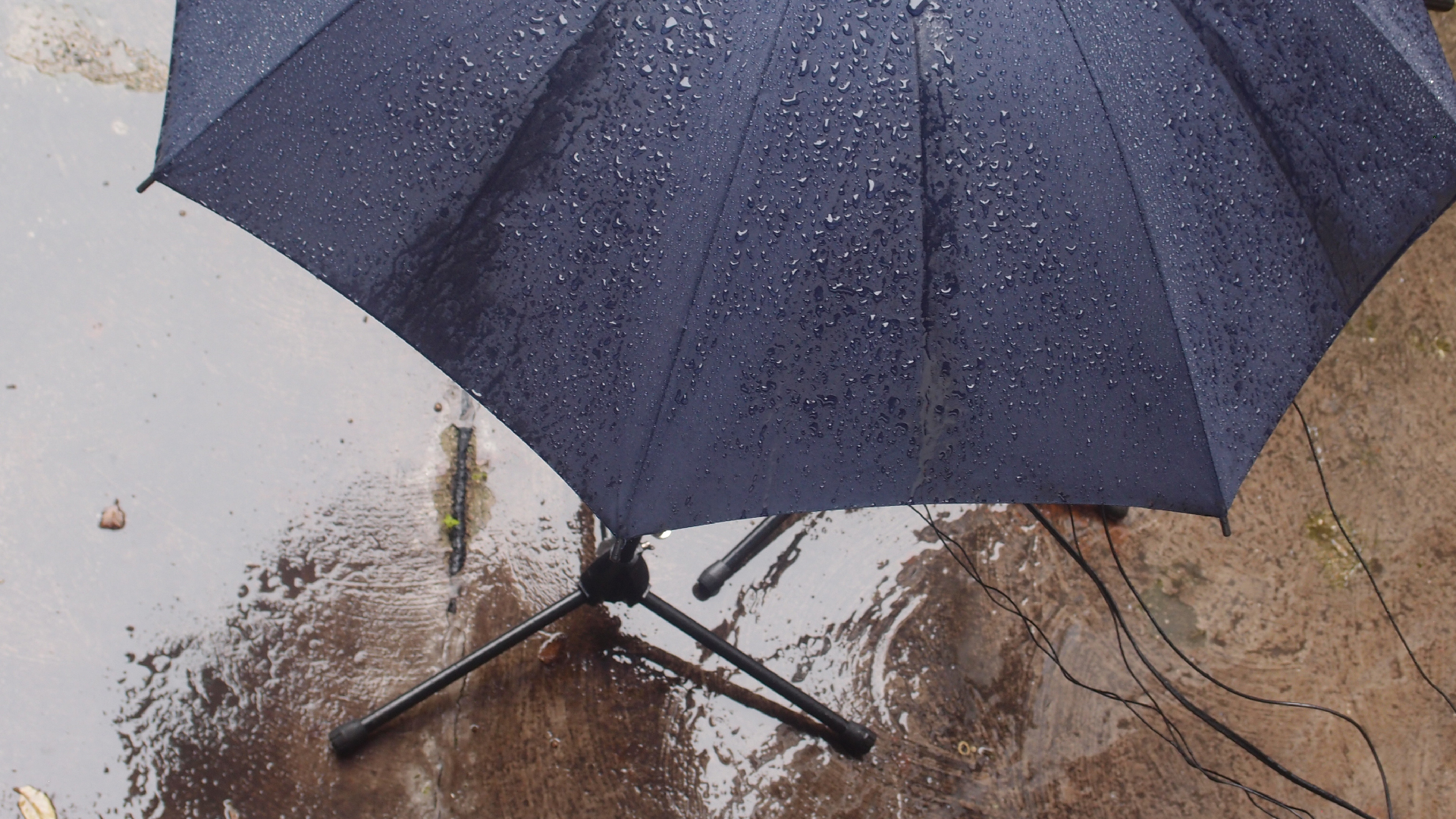2021-08 Das Kleine Regen Rhythmus Orchester (Audio, Video, Grafk, Foto)